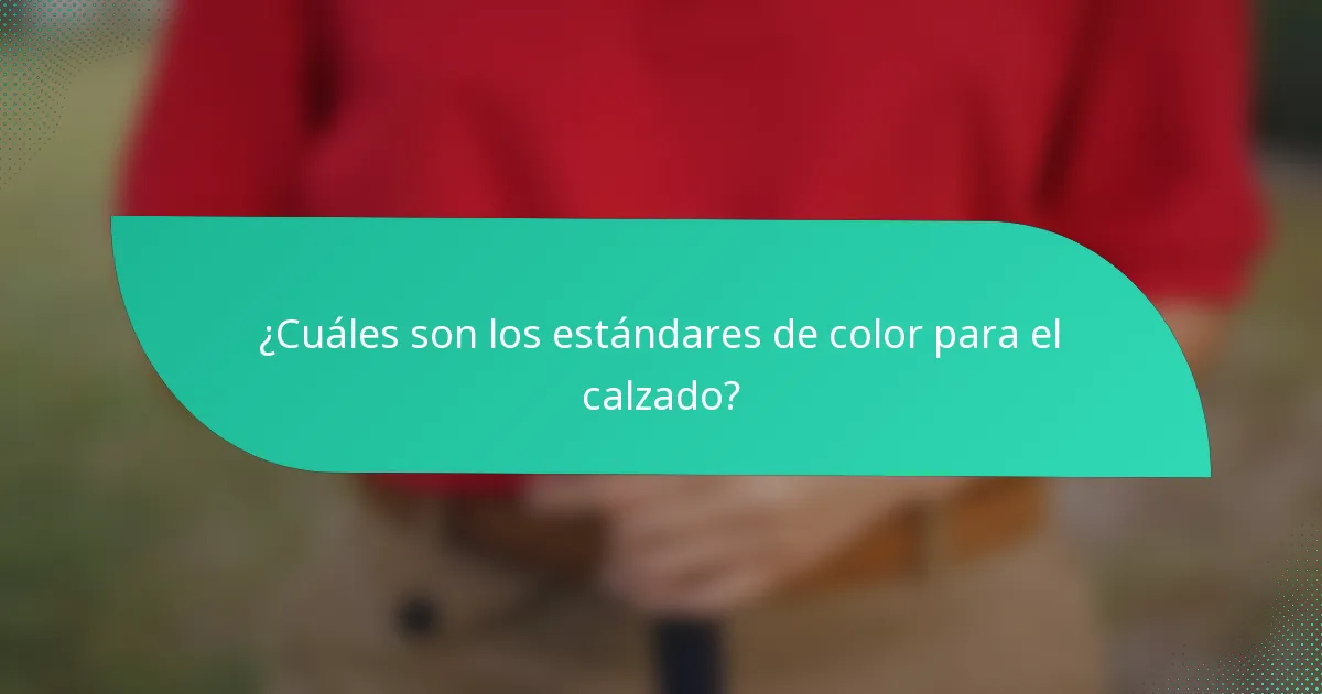 ¿Cuáles son los estándares de color para el calzado?